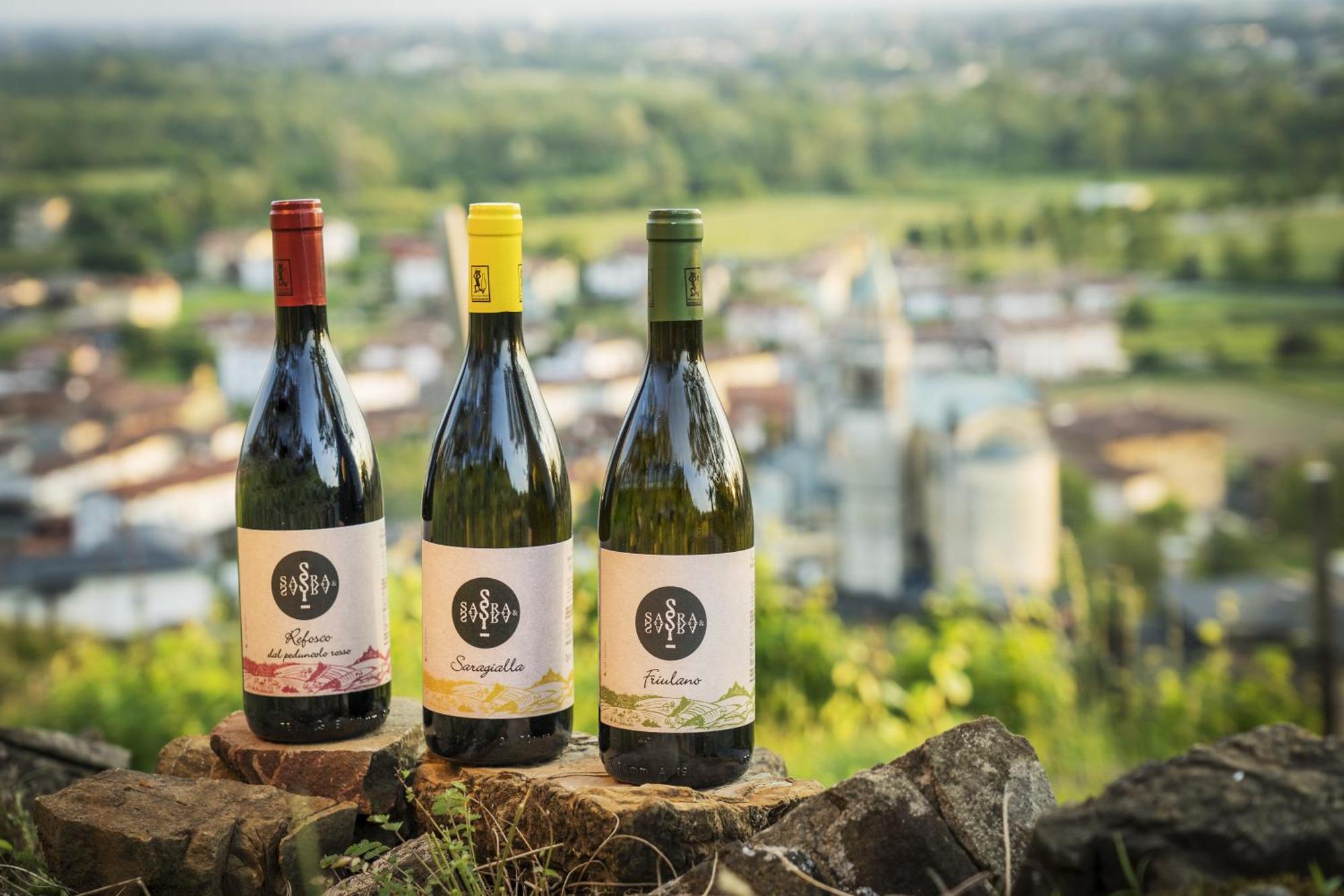 Savorgnano Sara&Sara Alloggio Agrituristico المظهر الخارجي الصورة